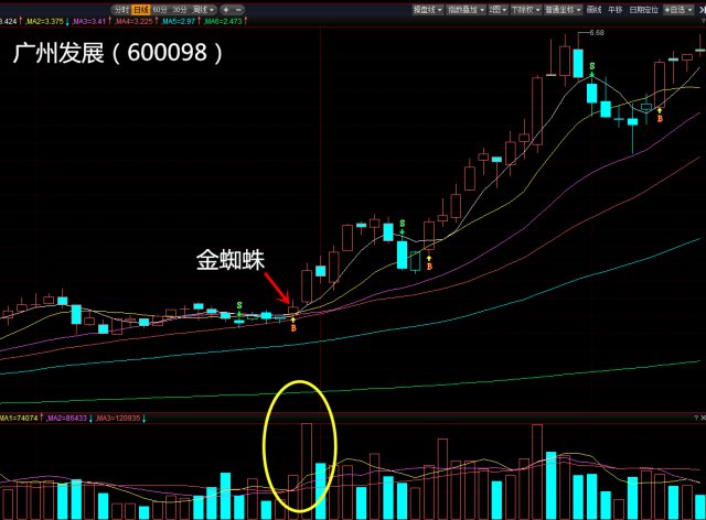 成功率极高的均线战法--金蜘蛛买入法_股市实