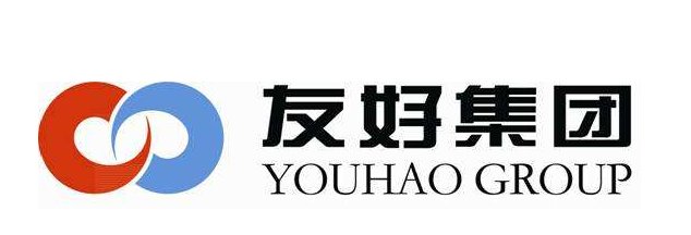 友好集团切勿冲动,耐心等待回调才是良机!_股