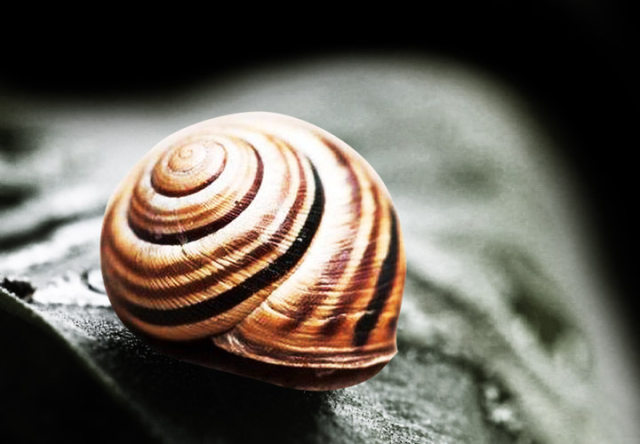 一口气卖掉13套房产 厦工股份鏖战保壳路_中国