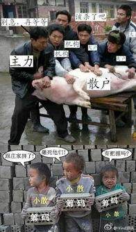 股市散户的悲哀,你还在独自奋战吗!_财富号评