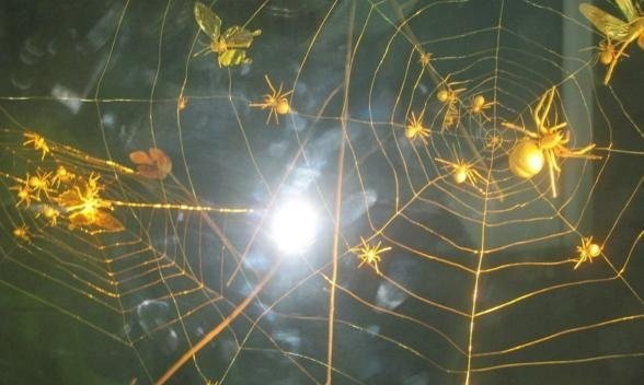 技术丨3分钟学会一招金蜘蛛买入法,轻松捕捉