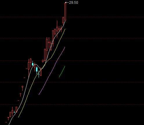 张家港行(002839)股价上涨5.4倍破28元创新高