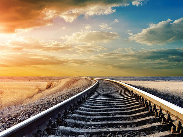 数据王:保险股两只创出历史新高 板块年涨幅排