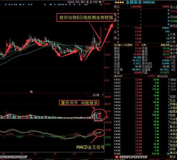 金圆股份:水泥建材又爆一龙头,小盘股遭主力2