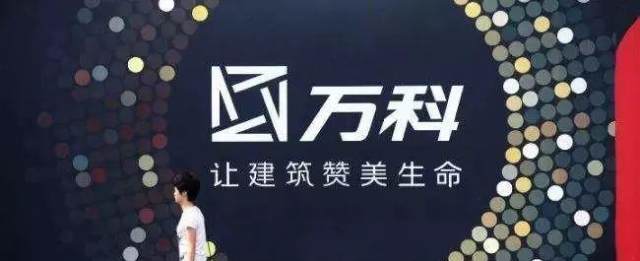 万科负可敌国后,你将买到质量最差的房子!