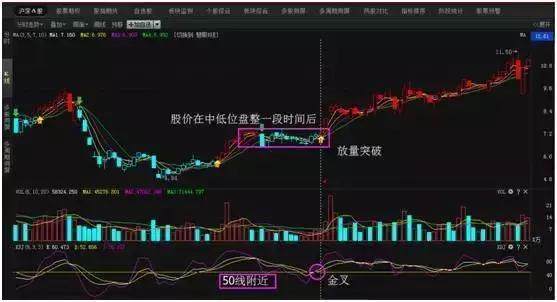 全世界那么多股民，为什么中国股市永远赚钱的只有这种人