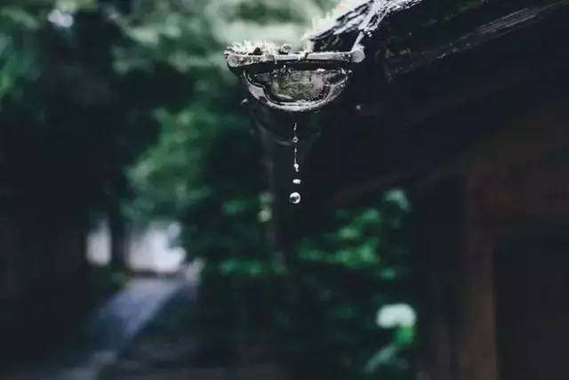 真正的格局只生长在恬淡的心境里