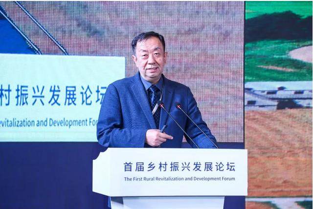 中民投董文标:为什么我要做乡村振兴?