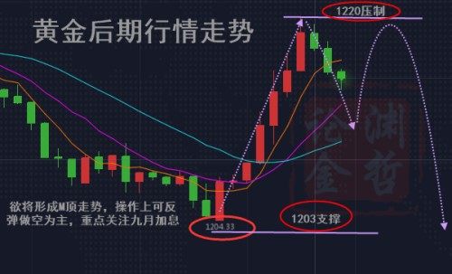 未能改變黃金當前的弱勢格局;周線圖上,周k線仍然持於ma5日均線和布林