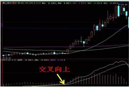 赶紧买！这8种形态的股票必然大涨！（图解）