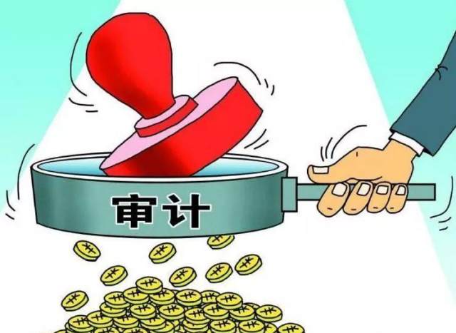 a股审计机构大盘点有些公司付不起审计费有些却付了215亿