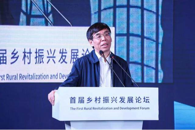 中民投董文标:为什么我要做乡村振兴?