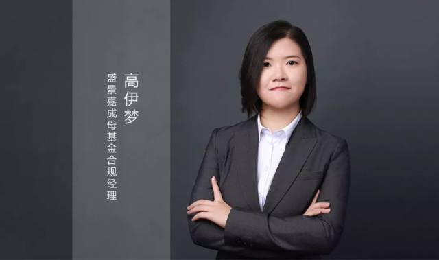 金汇奖·2018年中国母基金投资人30U30高伊