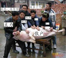 骄阳看市;散户与大户的差异