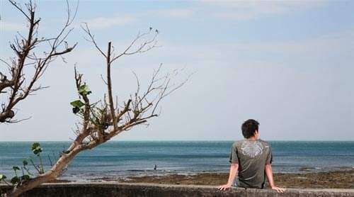 阿嘉的继父洪国荣坐在垦丁滨海酒店的阳台上,对着友子的背影黯然问道