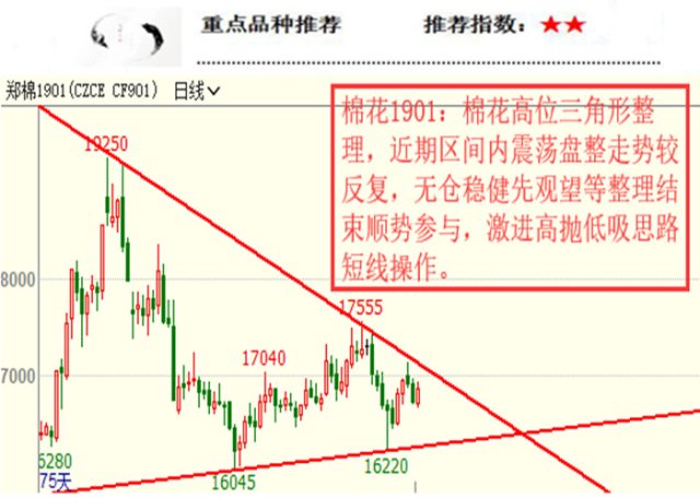 郑棉.png