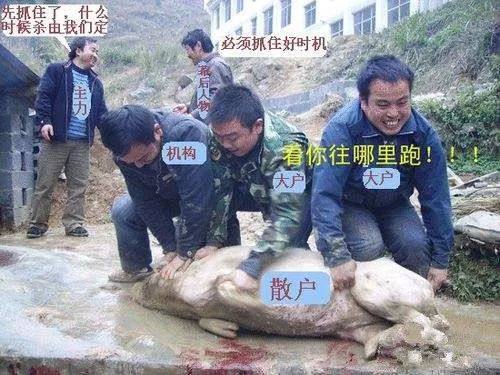 假如我是一个庄家,我会怎么做?(终于明白为什