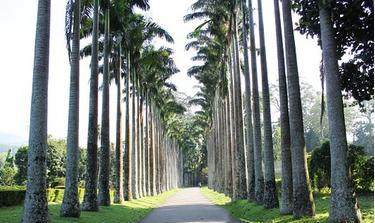 闲农业成社会经济发展新业态 休闲农业规划项