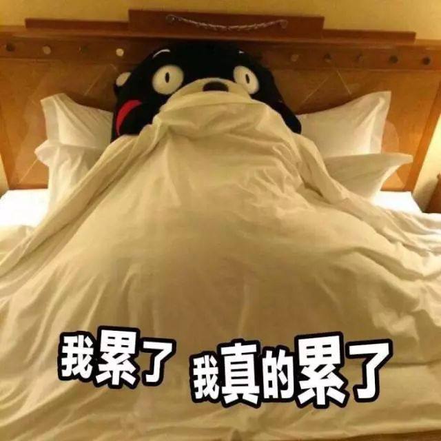 我,一统你累不累,你以后就发文底部区域可干或顶部区域建议休息两句话