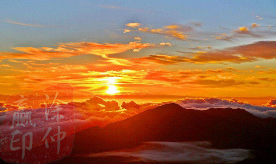 太阳阳.jpg