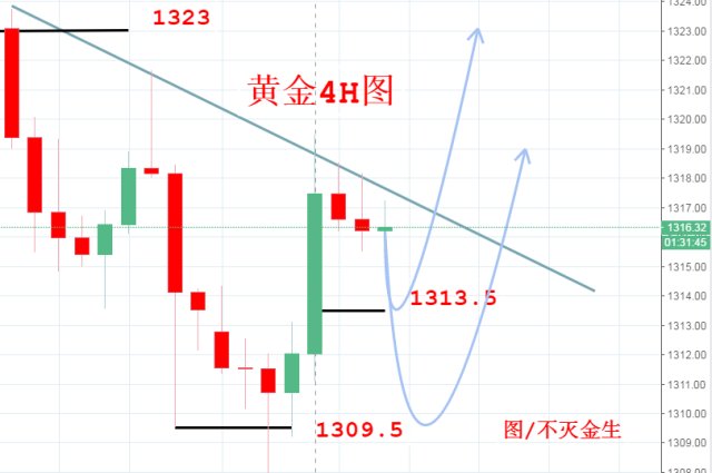 黄金.jpg