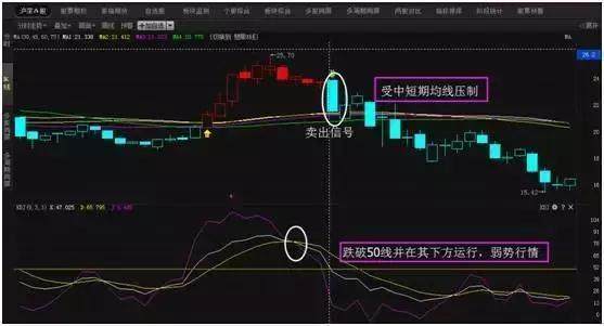 全世界那么多股民，为什么中国股市永远赚钱的只有这种人