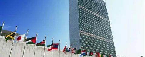 神秘人士在报开怼美国副总统,于是我们专访了