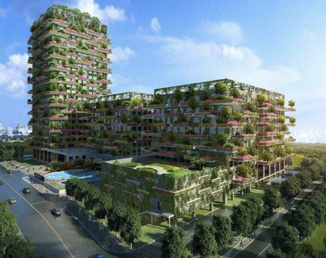 碧桂园获标普调升信用评级 2018年合同销售额