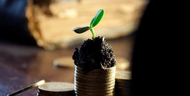 光明离场到白马股暴跌,蓝筹一招鲜能用多久?