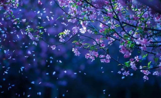 庄家最阴险的跌停板洗盘手法,看懂再不会一卖