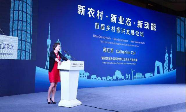 中民投董文标:为什么我要做乡村振兴?