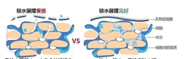 健康37岁美女每天敷两片面膜,去医院一检查,后