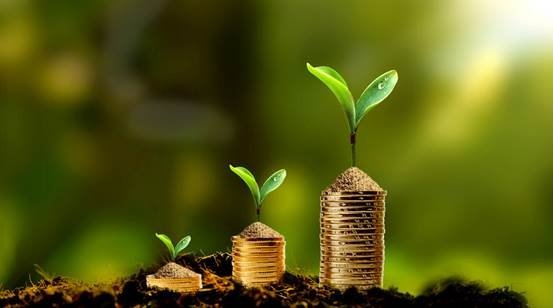 微微一笑未倾城:定投亏损了怎么办