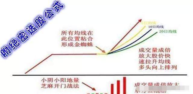 股市中一旦遇到“金蜘蛛”形态，逢低买入赚大钱