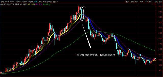 “遍地黄金”含量高，轻松让你牵着牛股的鼻子到处走！（附公式）