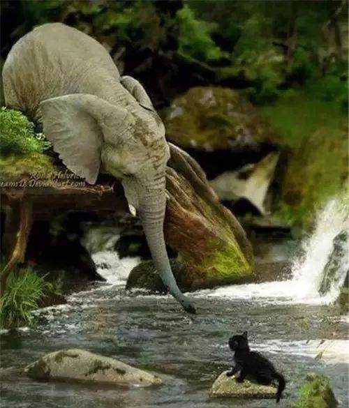 庄家最阴险的跌停板洗盘手法,看懂再不会一卖