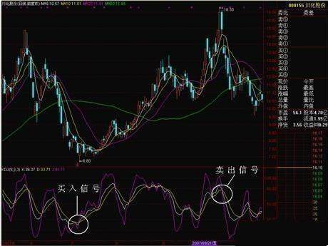 全世界那么多股民，为什么中国股市永远赚钱的只有这种人