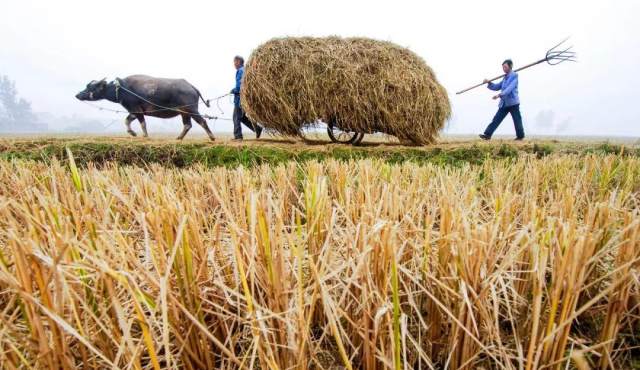 秋如何改变中国?