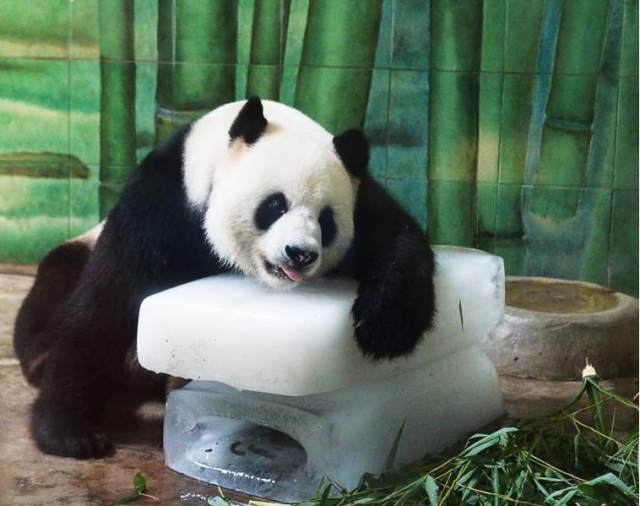 零点基金:上证指数(999999)趋势分析 震荡!