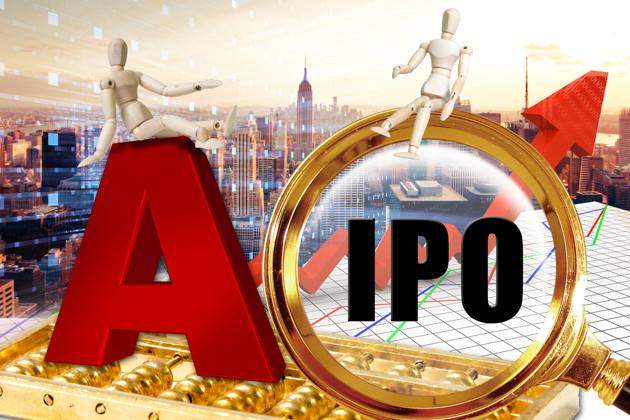 作为首只通过IPO回A的中概股,药明康德上市首