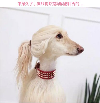 揭秘创业板大涨背后,是反转还是仙人跳?一大批