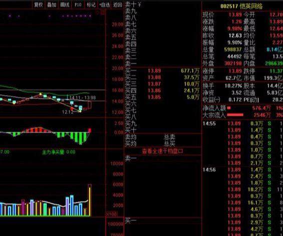 真假欢乐海1500万入嘉盛,孙哥3400万割宏川智