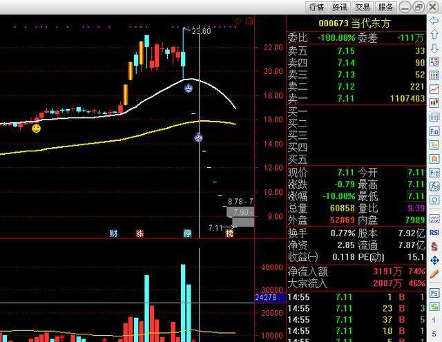 市盈率15倍,股票连续10个跌停板,这家上市公司